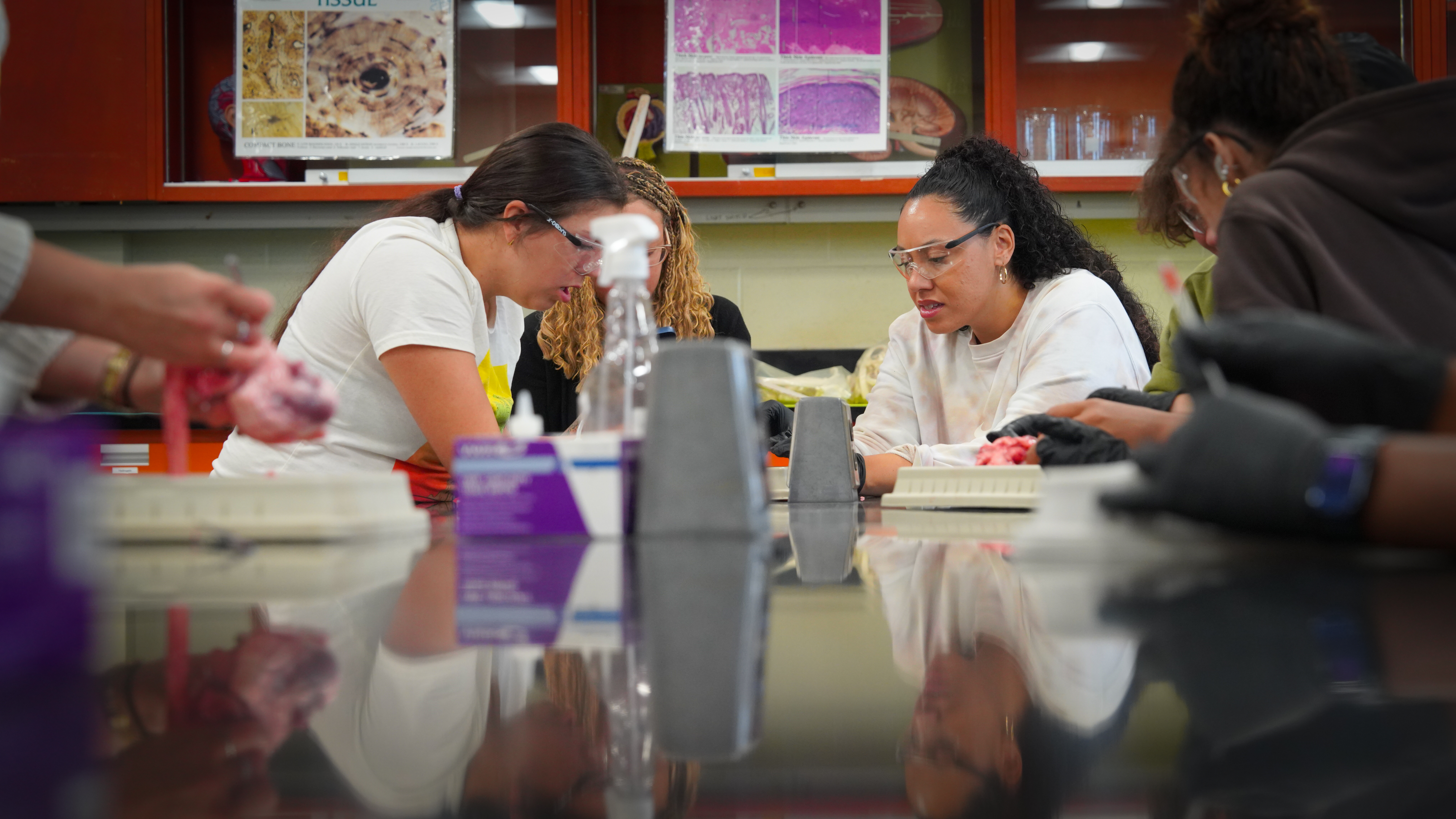 Black excellence lab