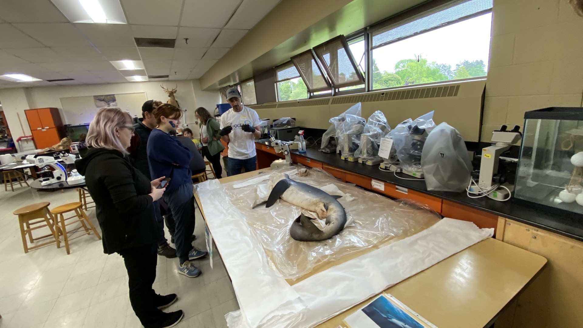 Learning about marine life at World Oceans Day 2024