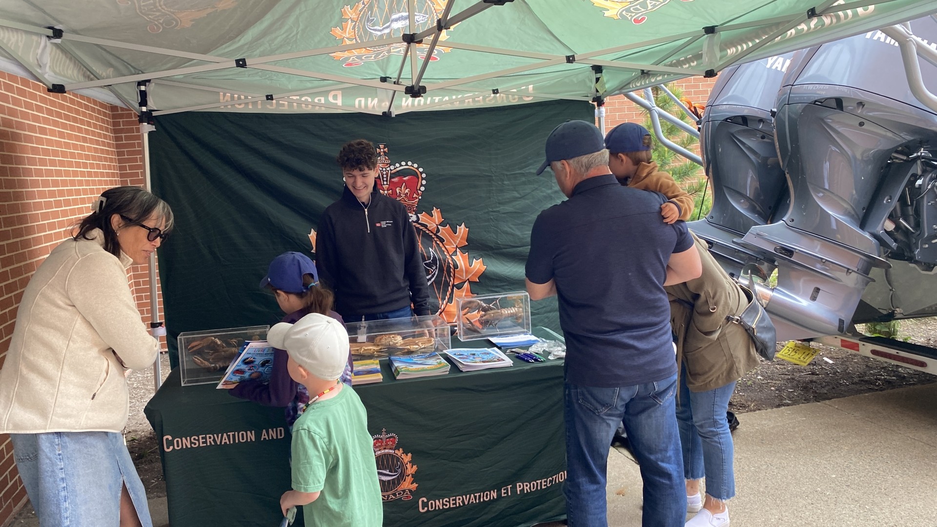 Learning about marine life at World Oceans Day 2024