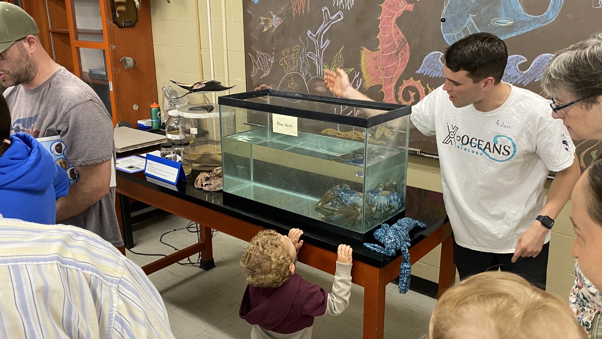 Blue lobster at World Oceans Day 2024