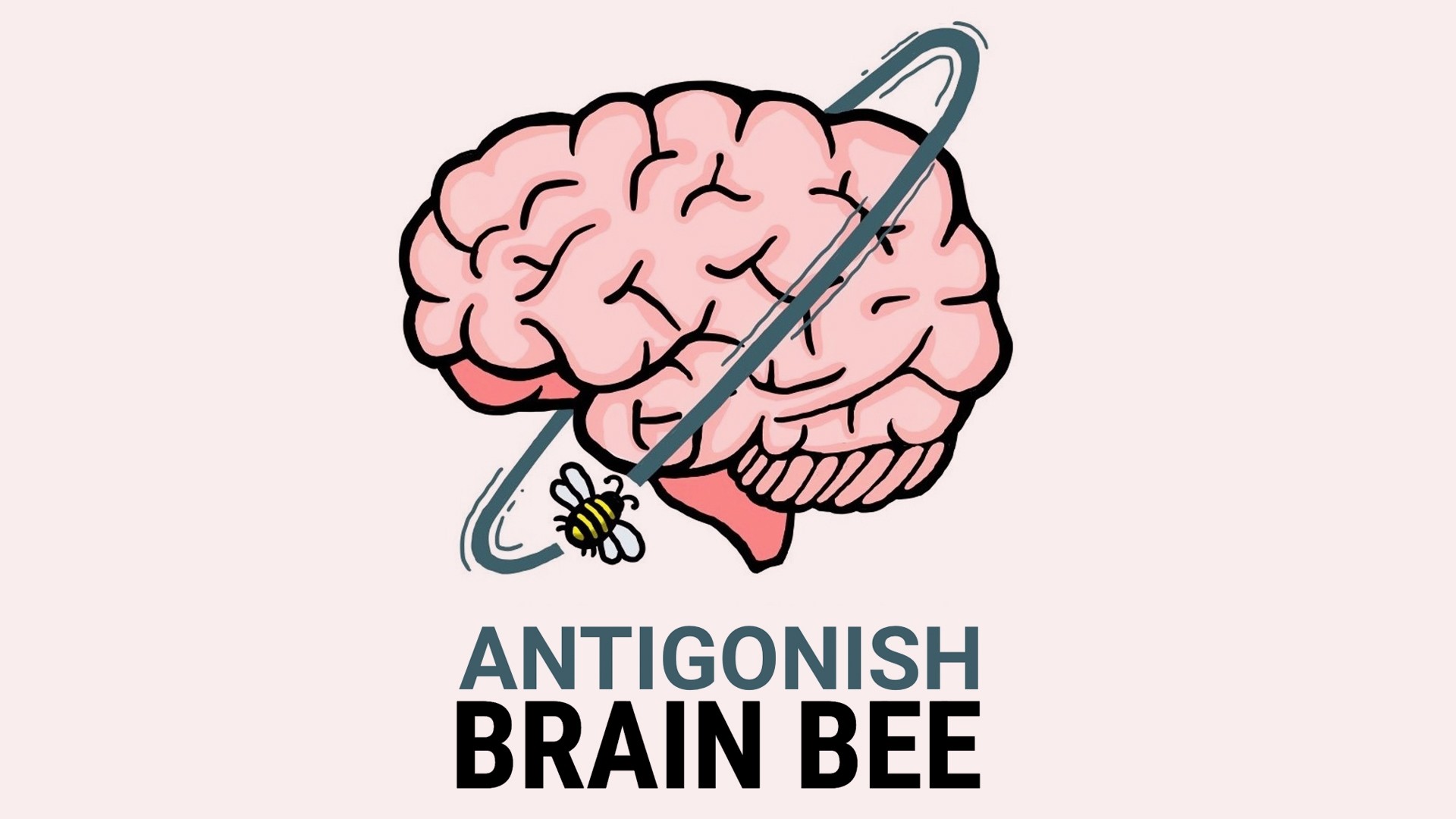 Brain Bee