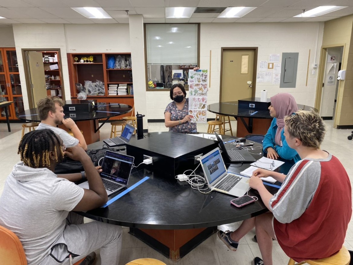 School Teacher Teaching About Seaweed