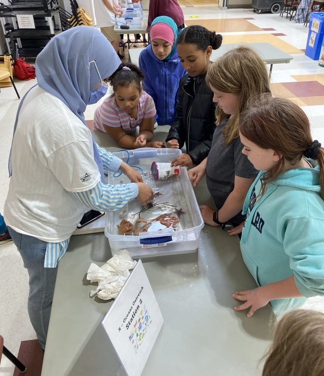 Students at the Lab with the Teacher Observing a Live Animal