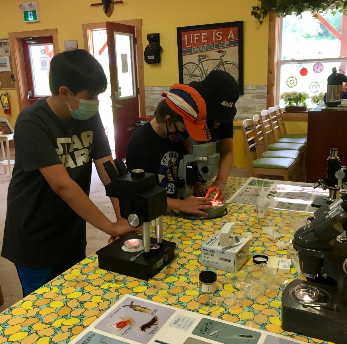 Students Using the Microscope at the Lab