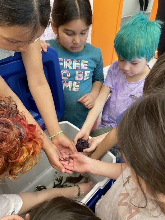 School Students Holding Sea Animals at the Paqtnkek Education Centre