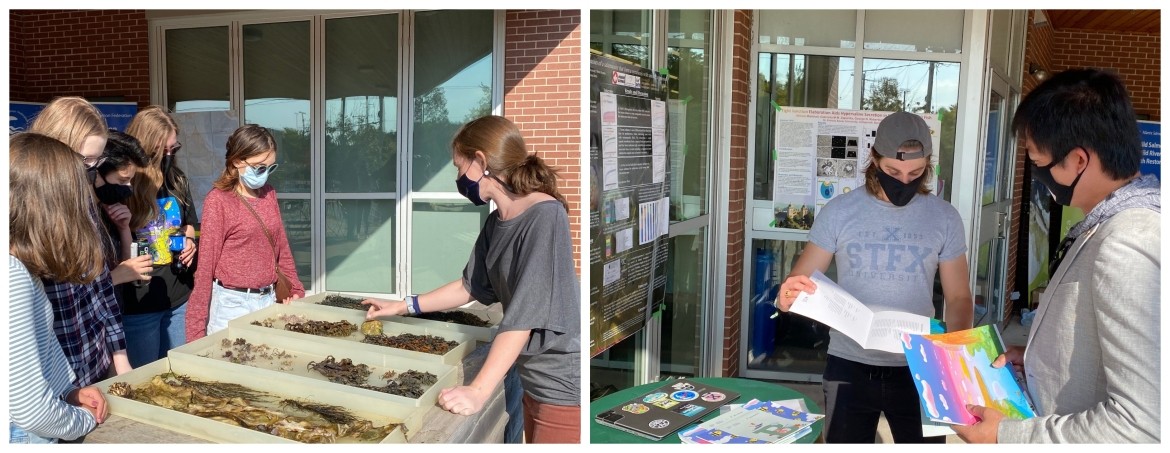Collage of Students Promoting the Science Literacy Week and Showing their Work