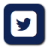 Twitter logo. Dark blue background, white-ish color on it